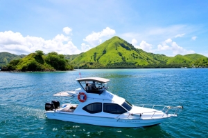 Private Explore Komodo Day Trip