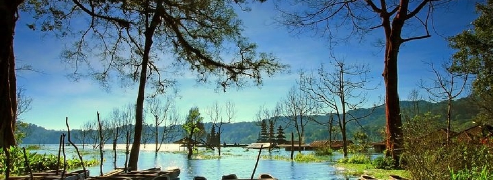 Tamblingan Lake