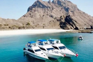 Explore Komodo Day Trip