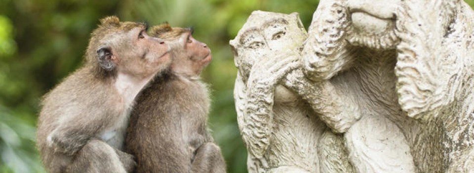 Ubud Monkey Forest